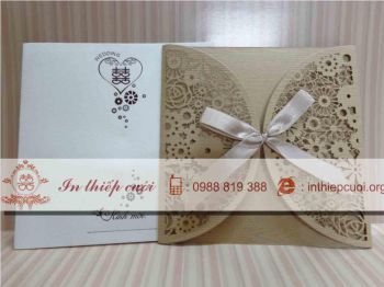 THIỆP CƯỚI DQB 1310- MẪU THIỆP CƯỚI HIỆN ĐẠI